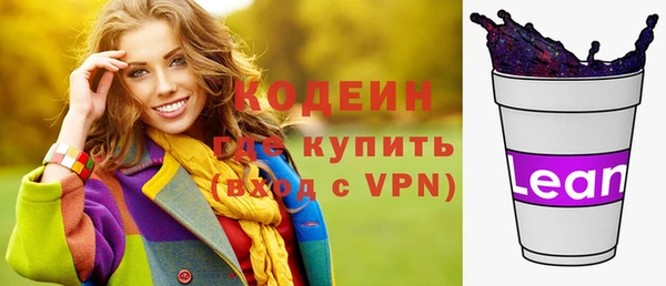 индика Балабаново