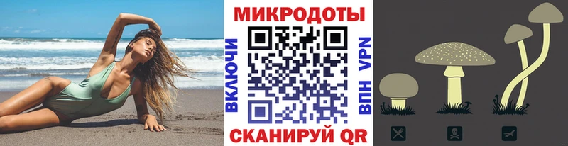 Галлюциногенные грибы прущие грибы Староминская